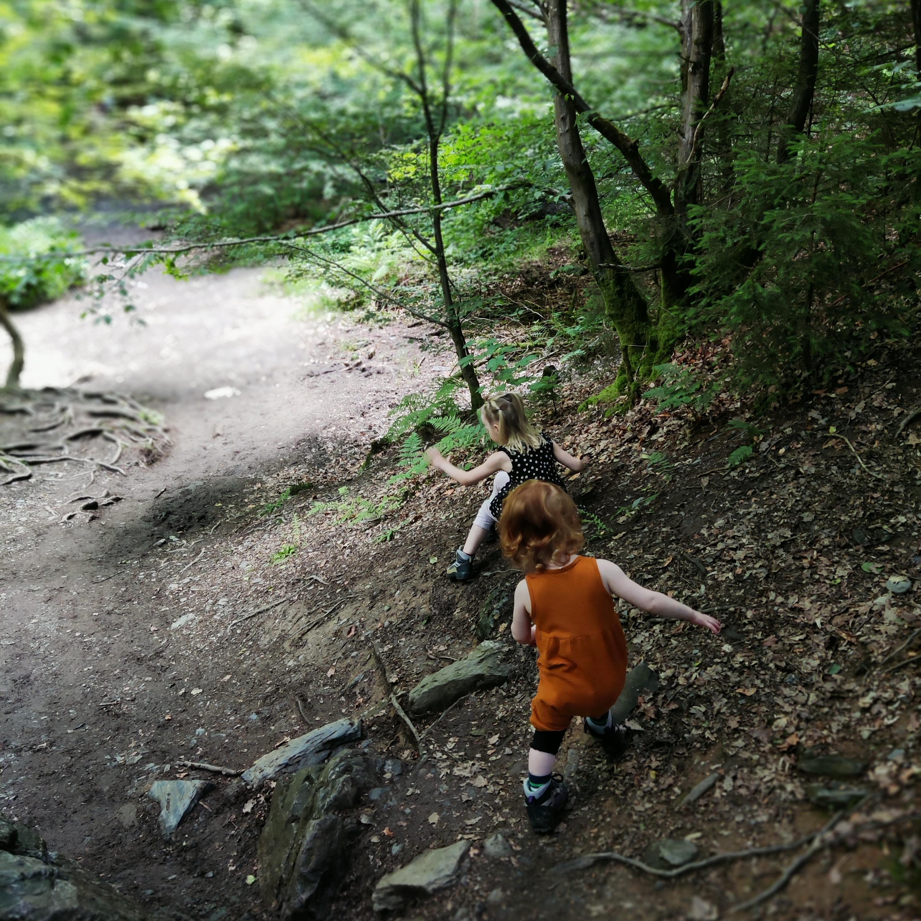 wandelen in de ardennen