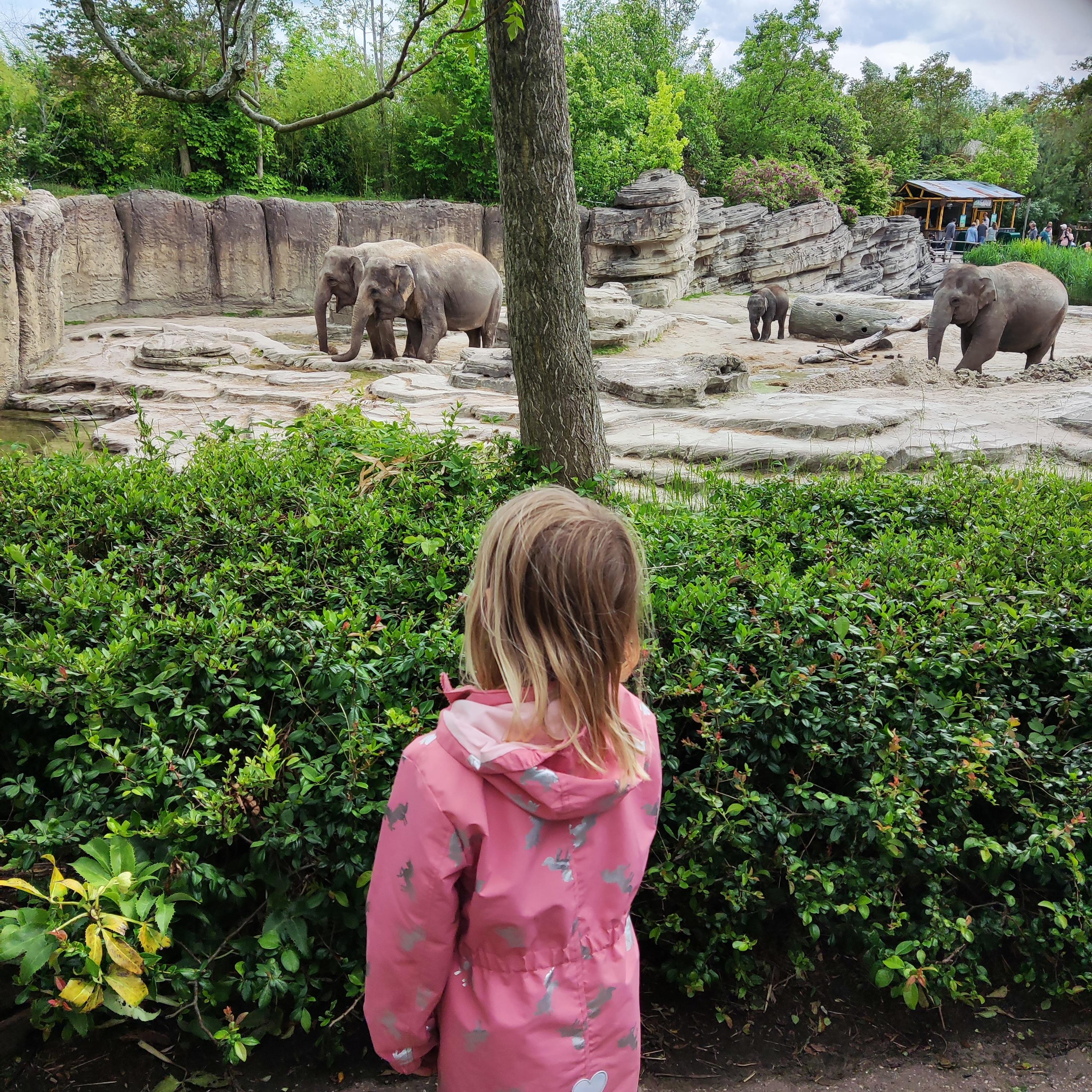 Kids in de dierentuin